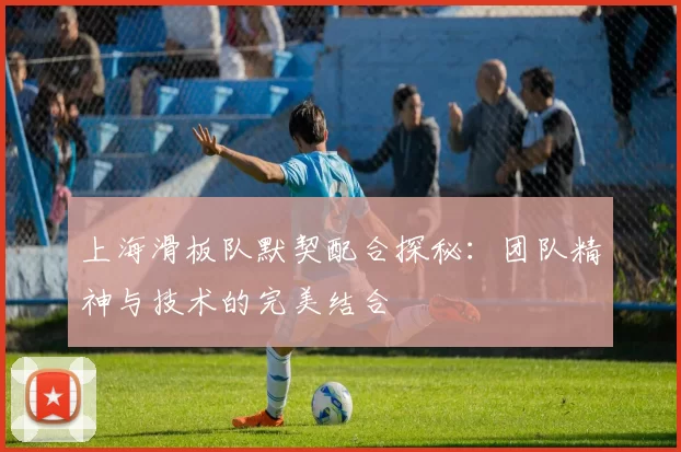 上海滑板队默契配合探秘：团队精神与技术的完美结合