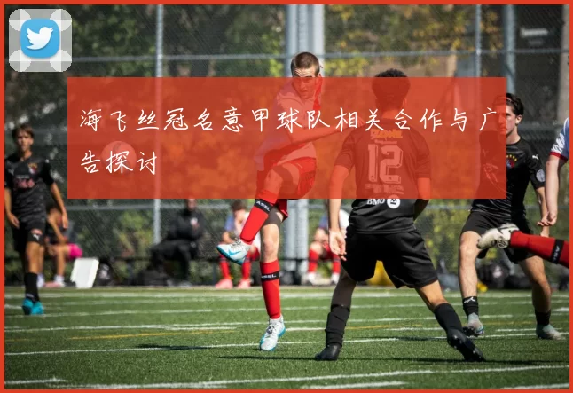 海飞丝冠名意甲球队相关合作与广告探讨