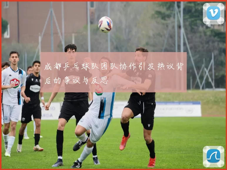 成都乒乓球队团队协作引发热议背后的争议与反思