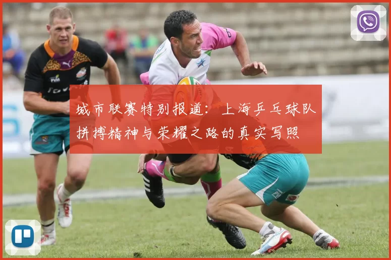 城市联赛特别报道：上海乒乓球队拼搏精神与荣耀之路的真实写照