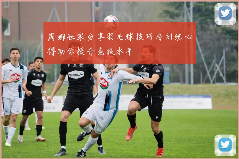 周娜独家分享羽毛球技巧与训练心得助你提升竞技水平
