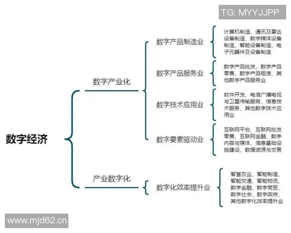 以网络建设为核心推动数字经济发展助力创新与产业升级的路径探索